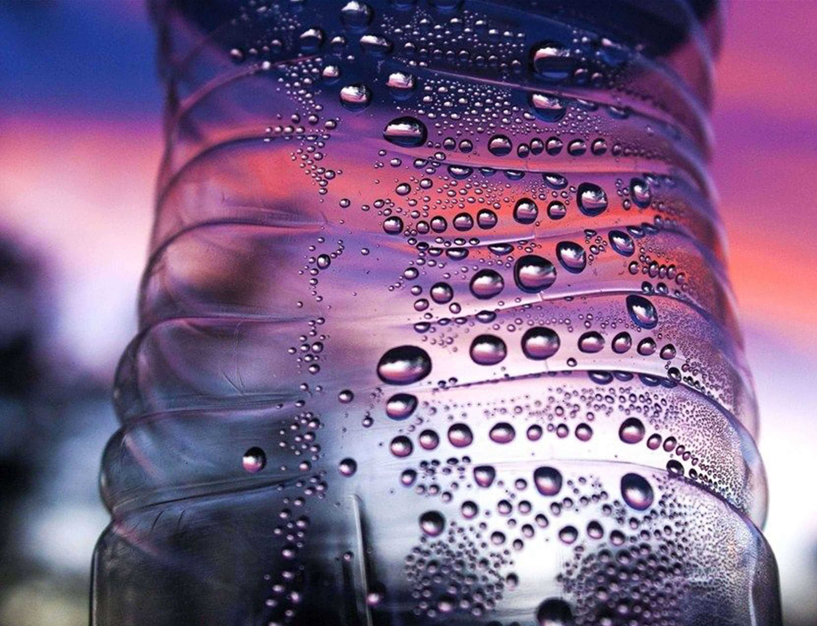 Stacy Fortes ’18, of Union, earned an Honorable Mention for her photo “Sunset in a Bottle” in the 2017 Regional Scholastic Art Competition.